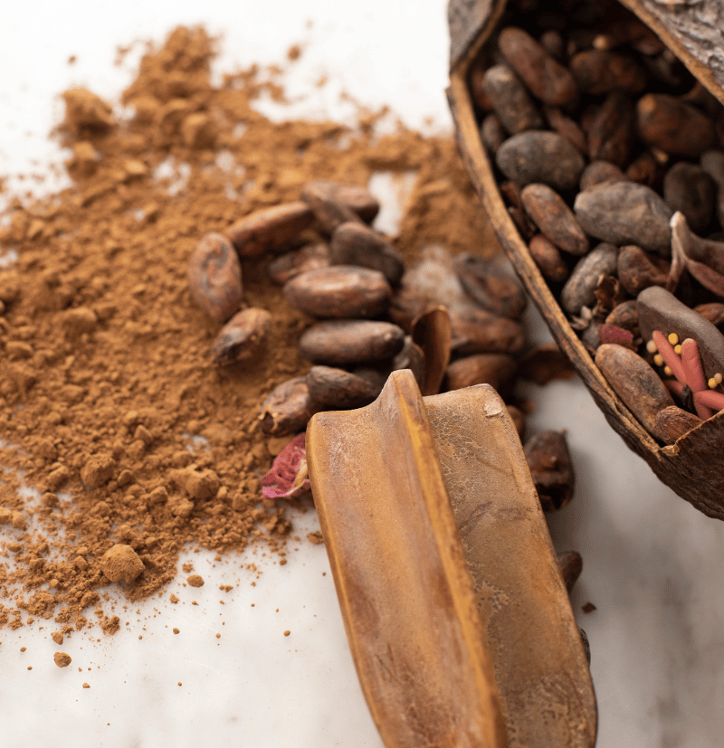 Cacao-origen-venezuela